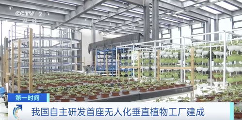 世界初！中國獨自開発の自動化垂直植物工場、生物技術(shù)普及サービスを牽引